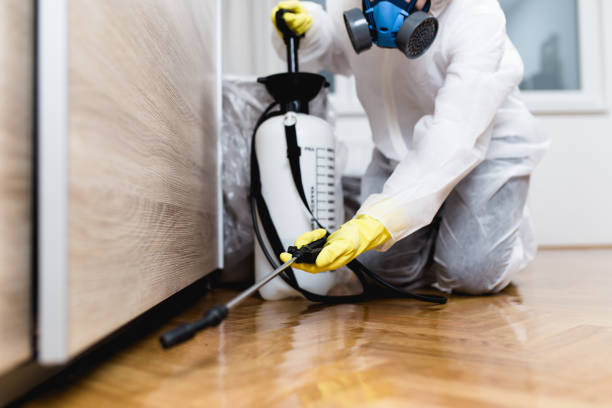 Best Best Pest Control Companies  in Al Creek, CO