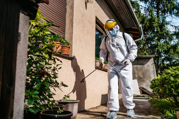 Best Mosquito Control Services  in Al Creek, CO