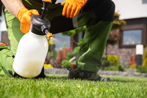 Best Local Pest Control Services  in Al Creek, CO