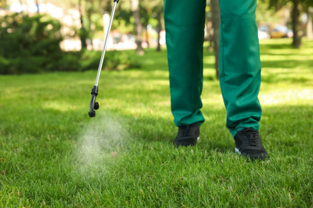 Best Residential Pest Control  in Al Creek, CO