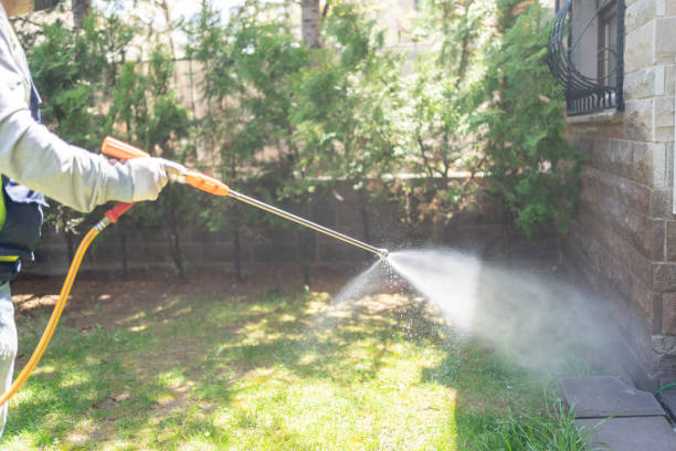 Trusted Coal Creek, CO Pest Control Experts