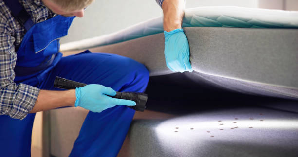 Best Exterminator Services  in Al Creek, CO