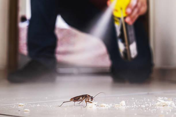 Best Emergency Pest Control  in Al Creek, CO