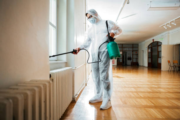 Best Exterminator Services  in Al Creek, CO