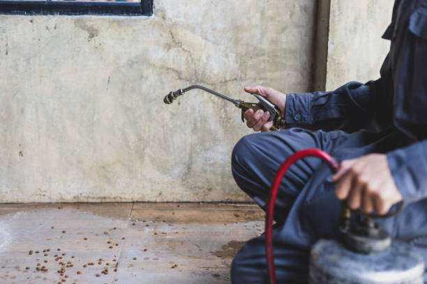 Best Best Pest Control Companies  in Al Creek, CO